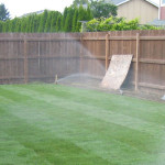 lawn irrigation